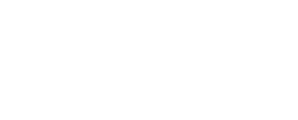 White logo of Dinamic Motorsport